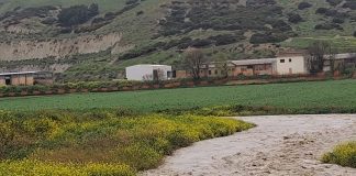 Home - Corriere Salentino