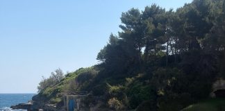 Home - Corriere Salentino