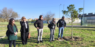 Home - Corriere Salentino