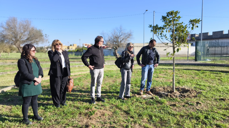 Veglie inaugura gli “Orti di San Francesco”: un nuovo spazio di comunità per coltivare relazioni - Corriere Salentino