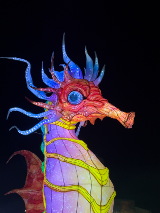 Boom Lumina World: Belloluogo si accende, ora il weekend dell’1 maggio rilancia con show e musica - Corriere Salentino