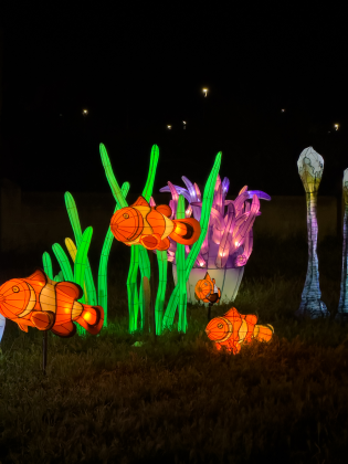 Boom Lumina World: Belloluogo si accende, ora il weekend dell’1 maggio rilancia con show e musica - Corriere Salentino