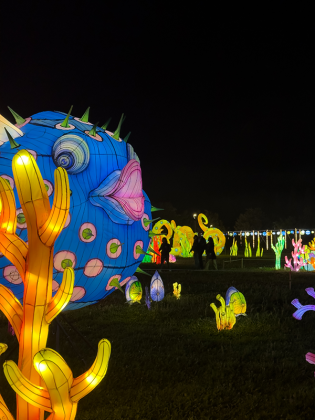 Boom Lumina World: Belloluogo si accende, ora il weekend dell’1 maggio rilancia con show e musica - Corriere Salentino