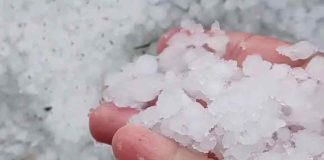 Home - Corriere Salentino