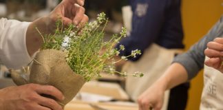 Home - Corriere Salentino