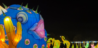 Home - Corriere Salentino