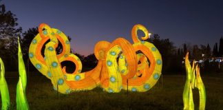 Home - Corriere Salentino