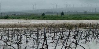 Home - Corriere Salentino