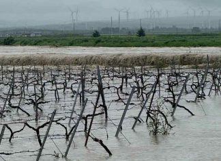 Maltempo, la Giunta regionale chiede il riconoscimento dello stato di emergenza di rilievo nazionale