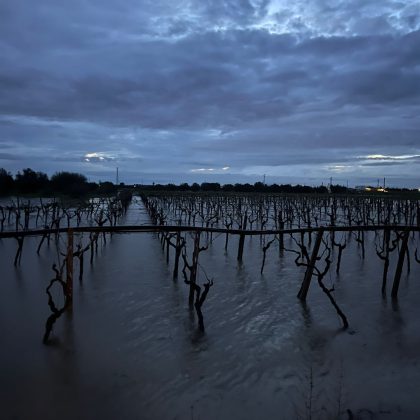 Maltempo, agricoltura in ginocchio. Chiesto lo stato di calamità - Corriere Salentino