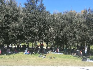 Pasquetta e "Lu Riu", il ringraziamento del sindaco Poli Bortone alla città - Corriere Salentino