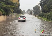 Ambiente - Corriere Salentino