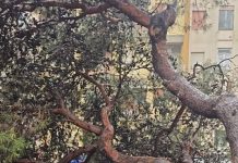 Cronaca - Corriere Salentino