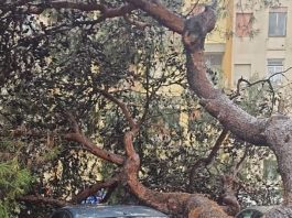 Cronaca - Corriere Salentino