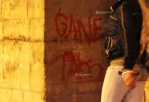 Politica - Corriere Salentino