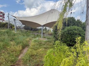 Lecce, zona 167: la promessa di rilancio tradita. Dall'ex Lidl alla Trax road c'è vuoto e vandalismo - Corriere Salentino