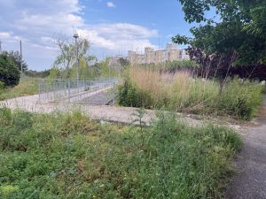 Lecce, zona 167: la promessa di rilancio tradita. Dall'ex Lidl alla Trax road c'è vuoto e vandalismo - Corriere Salentino