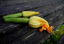 Attualità - Corriere Salentino