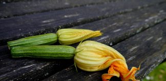 Home - Corriere Salentino