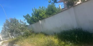 Home - Corriere Salentino