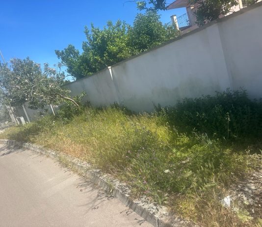 Via Rapolla, la protesta dei residenti: erbacce che rendono i marciapiedi impercorribili. Ma la Lupiae interverrà