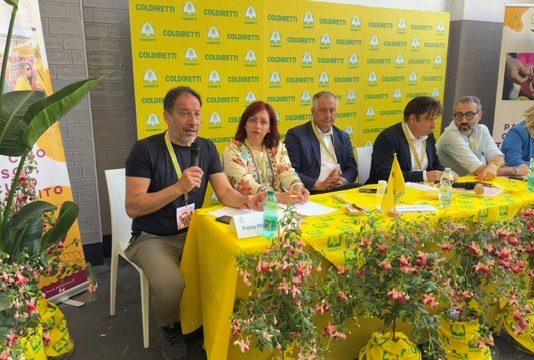 Florovivaismo, verde urbano strategico per salute, ambiente e qualità della vita