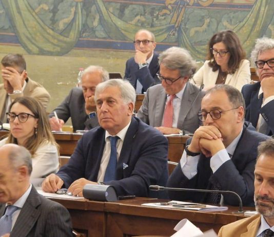 Crisi dell’olio, Sicolo al tavolo nazionale: “Subito piano straordinario in 5 punti”