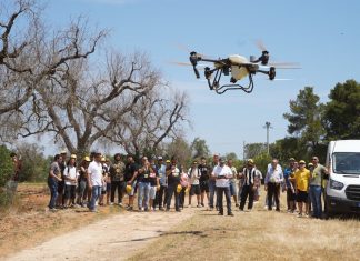 “Giovani in campo”, oltre 18mila under 40 guidano l’agricoltura pugliese tra innovazione e sostenibilità