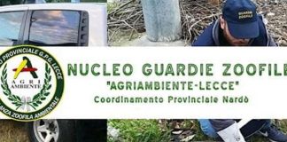 Home - Corriere Salentino