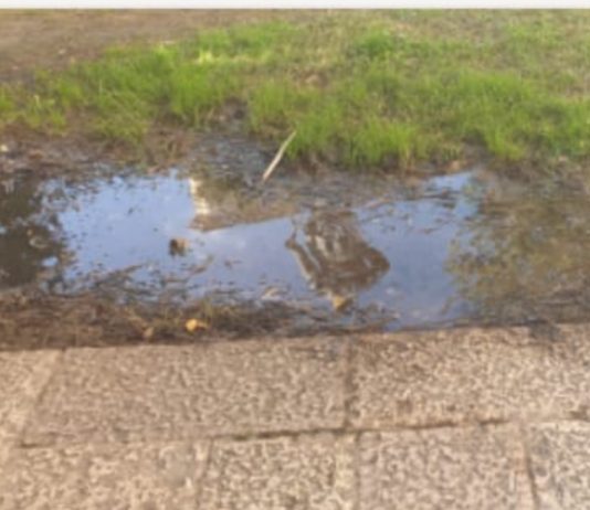 Pozzanghere sospette in piazza Vittorio Emanuele II, i residenti scrivono al Comune: “Da mesi segnaliamo una perdita d’acqua”