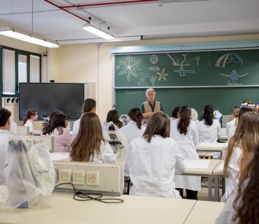 Il riccio di mare torna a popolare il mare del Salento, gli scienziati di Unisalento: «Ma lo stop va mantenuto»