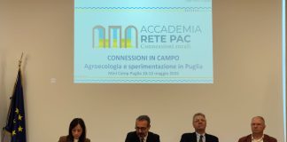Home - Corriere Salentino