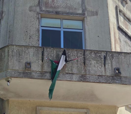 Specchia, la sindaca passa alle vie legali: querela contro Zippo per le accuse sulla bandiera palestinese