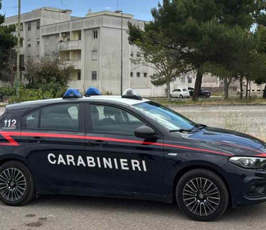 Salento nella morsa dei ladri: raffica di furti tra Tiggiano e Salice Salentino