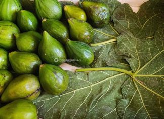 Eccellenze gastronomiche salentine: Il fiorone