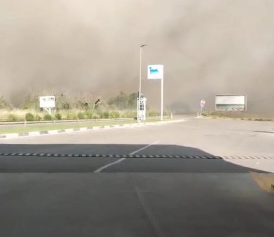 Paura per un incendio lungo la provinciale, a ridosso di abitazioni e di un distributore di carburanti