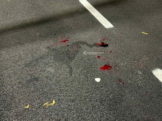 Travolta da un’auto mentre attraversava viale Foscolo sulla circonvallazione: 17enne finisce in ospedale - Corriere Salentino