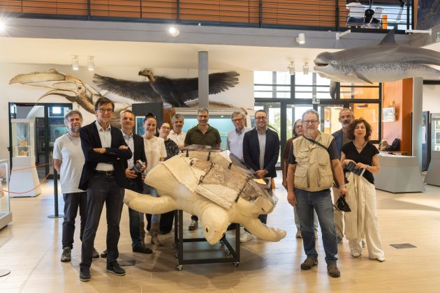 Una tartaruga del Miocene torna a nuotare nel Salento: la sorpresa al Maus in occasione dell'inaugurazione della mostra "Il mediterraneo si trasforma" - Corriere Salentino