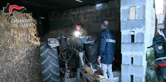 Home - Corriere Salentino