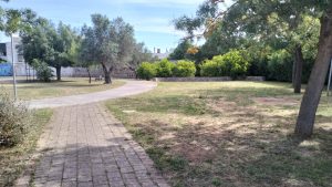 Carmiano, il sindaco Erroi dopo gli interventi di pulizia e sfalcio: “Il Parco della Scienza è di tutti, prendiamocene cura assieme” - Corriere Salentino