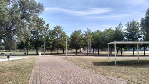 Carmiano, il sindaco Erroi dopo gli interventi di pulizia e sfalcio: “Il Parco della Scienza è di tutti, prendiamocene cura assieme” - Corriere Salentino