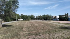 Carmiano, il sindaco Erroi dopo gli interventi di pulizia e sfalcio: “Il Parco della Scienza è di tutti, prendiamocene cura assieme” - Corriere Salentino