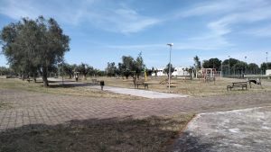 Carmiano, il sindaco Erroi dopo gli interventi di pulizia e sfalcio: “Il Parco della Scienza è di tutti, prendiamocene cura assieme” - Corriere Salentino