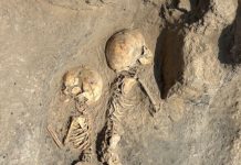 un’operazione di chirurgia cranica di 4.000 anni fa, la scoperta della missione unisalento in uzbekistan Notizie dall'Italia e dal mondo - Corriere Salentino