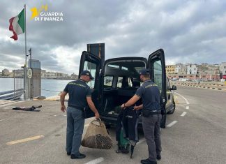 Pesca abusiva a Gallipoli: bloccato con 300 ricci di mare, maxi multa in arrivo