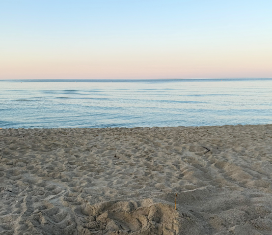 Ugento, rinvenuto il primo nido di tartaruga marina della stagione in Puglia