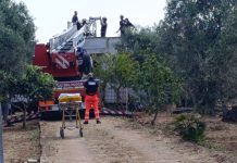 Cronaca - Corriere Salentino