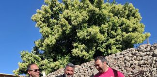 Home - Corriere Salentino