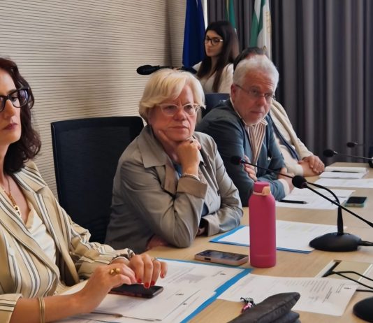 Lavori strada statale 16, Capone incalza Anas: “più investimenti sulla ss16, non siamo cittadini di serie b”