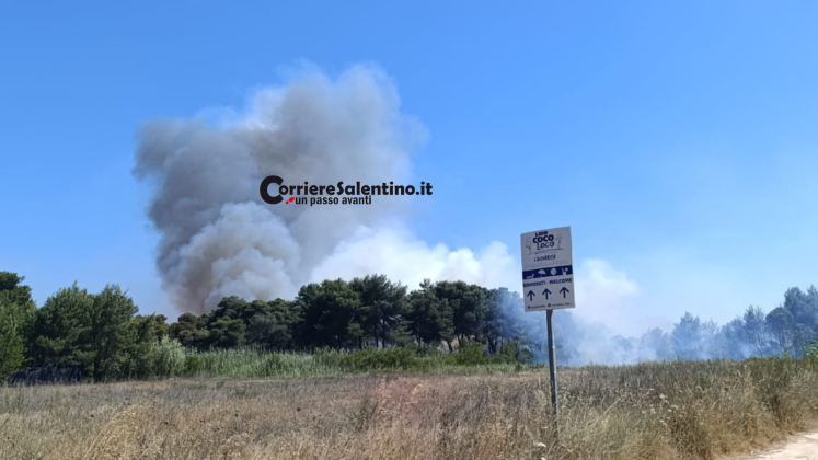 Inferno di fuoco a Torre San Giovanni: pineta e lido avvolti dalle fiamme, evacuate le spiagge - Corriere Salentino